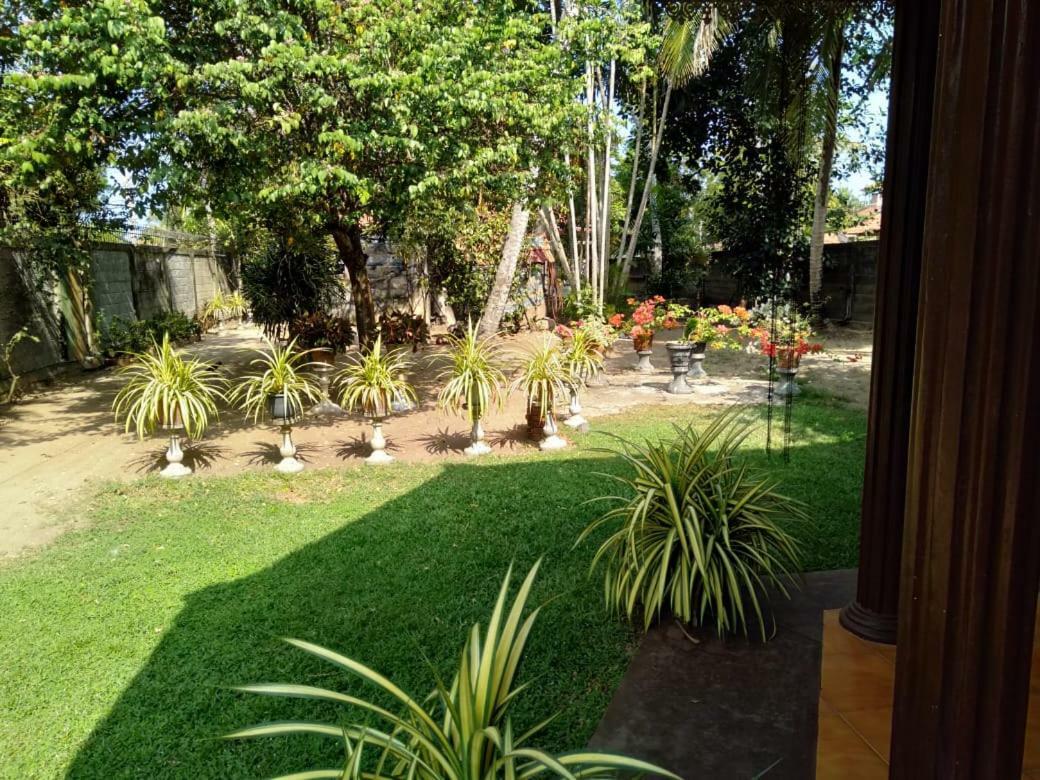 Lidwins Inn 15 Minutes To The Airport Negombo Exterior photo
